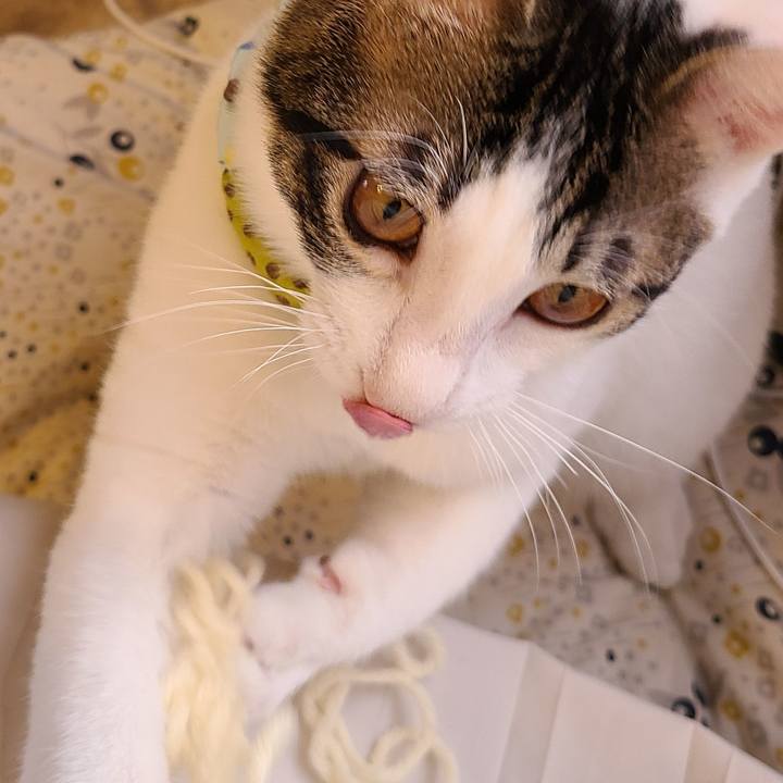 01684e9a 49e0 4fe1 bee3 a9f87f2add19 1636847965060