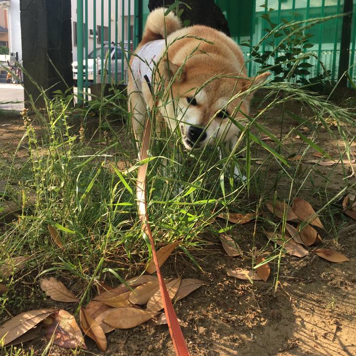 01686085 d378 4a70 ab18 24fd7b4249b9 1558910297919