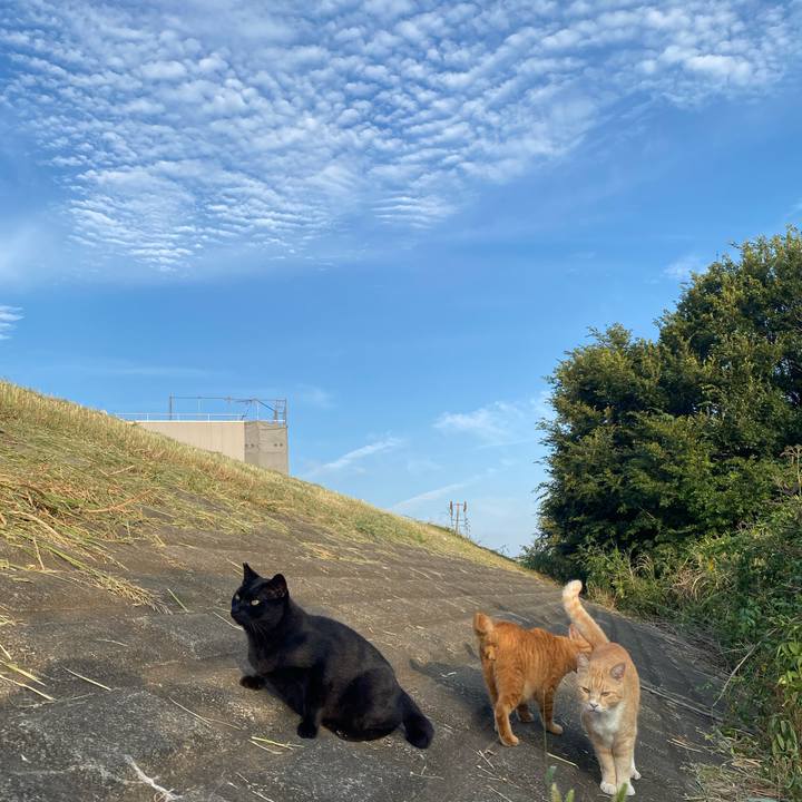 01688206 11f3 479f bc81 b07cdeb4284b 1756465444353