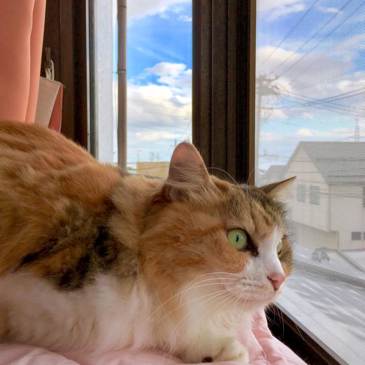 01689bbe 64fe 4401 9d53 eb4f1da82618 1569902198691