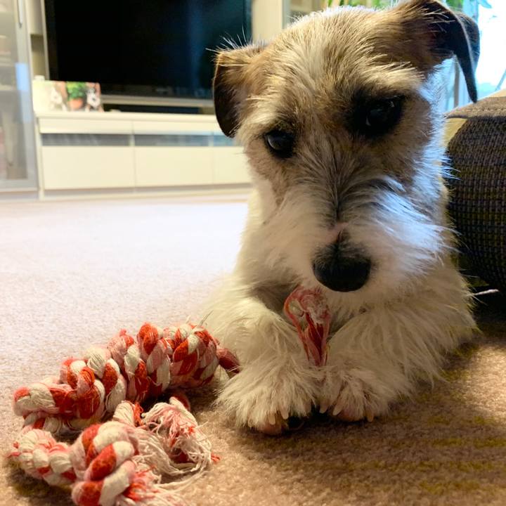 0168bd8c f385 4535 91f1 ec6ef1080a31 1579672275047