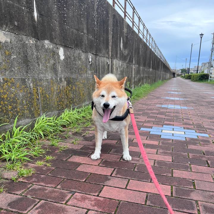 0168e261 37b3 4edb 81f0 061103e4fe73 1719807488010