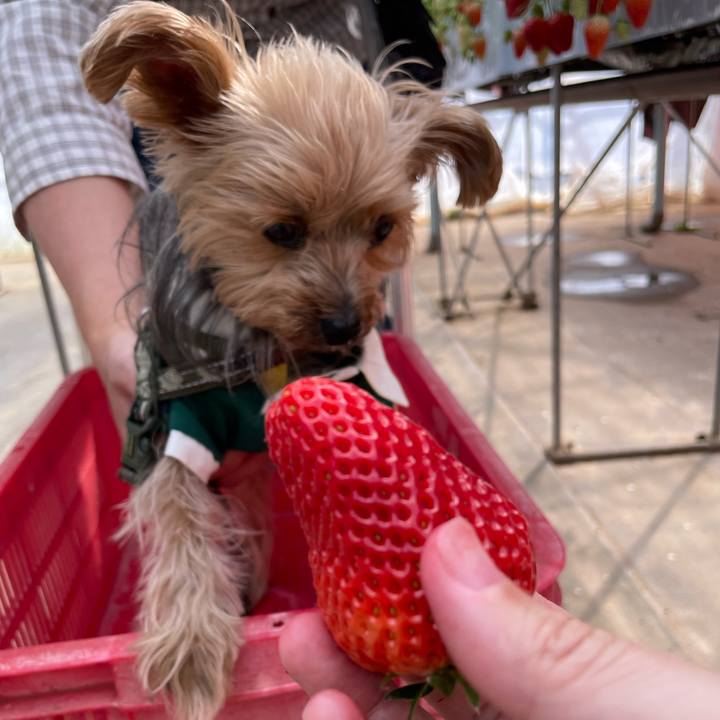 01691bdf 9e32 4c40 9198 f87f0a134588 1773324468950