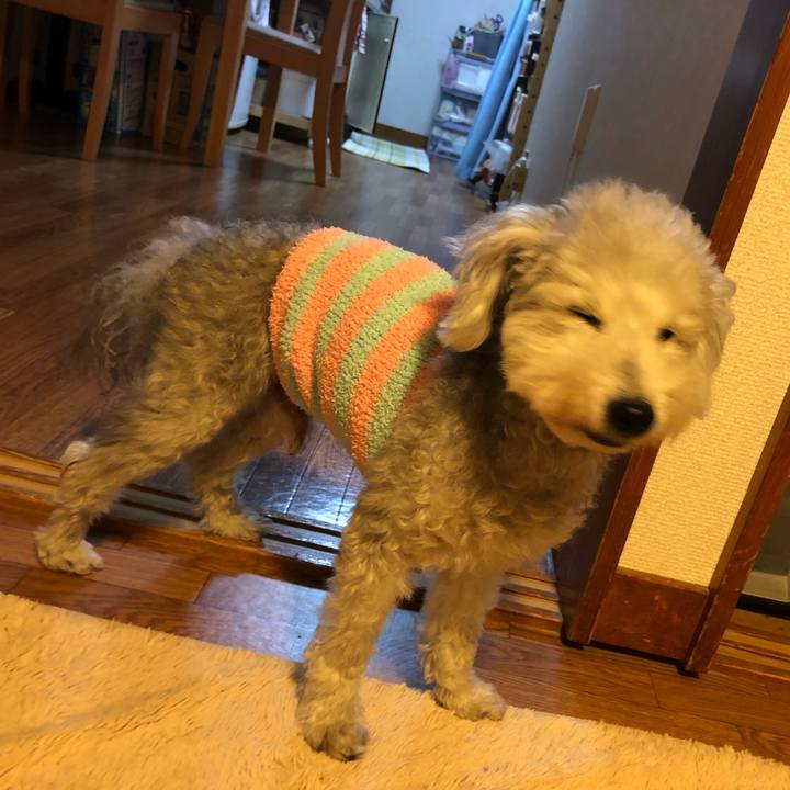 0169584b c765 4b3c 9bb4 b8af5fa871e3 1636783321546