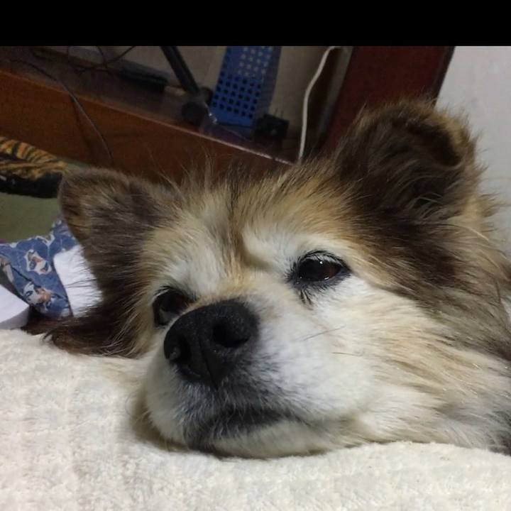 0169775d b77b 4ca0 9f77 f3c8eff98787 1619182821462