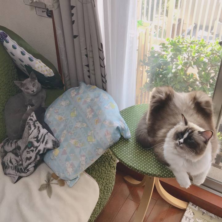 01697ba4 8f53 4cdf bf39 9279b52f5edf 1509674039655