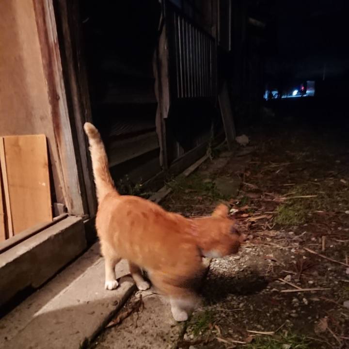 01698cde e607 4cd4 b950 c7b376b84437 1606813282664