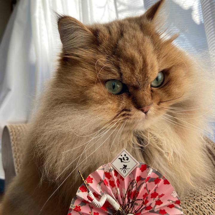 0169e250 463e 4380 b603 66a205c9309f 1609463561922