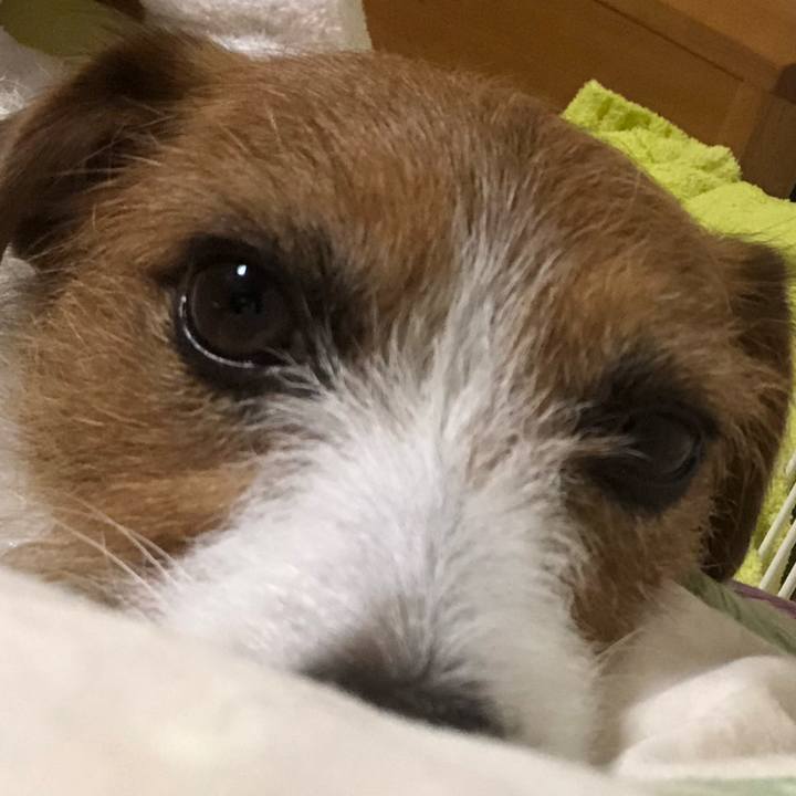 0169e94f 0cf2 49cb bf69 7d368f4e61d8 1542969446837