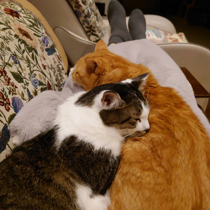 016a3f66 0f07 48dc b1a0 d319195a1226 1733484961263