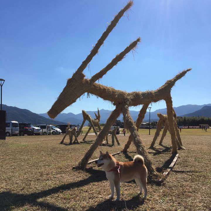 016a682b f660 4ce0 988a f00191502c91 1541228274641