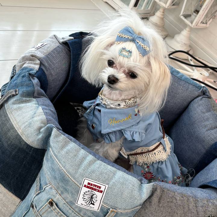 016a8076 91ee 49cc 9abf 6d6115ad16fb 1774083676479