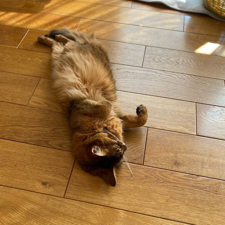 016a84e3 42b5 4695 834c 55b28195858e 1664596580780