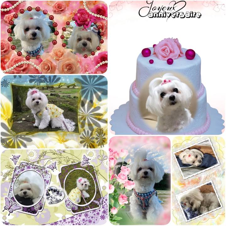 016aa71e 908e 431a bf02 c4b3cfe9acdd 1623186790069