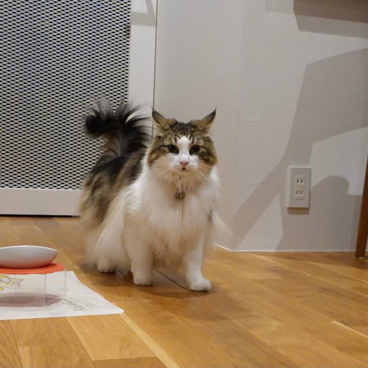 016ab285 89a7 4c71 a6c8 3b8de46f3ec5 1664632458384