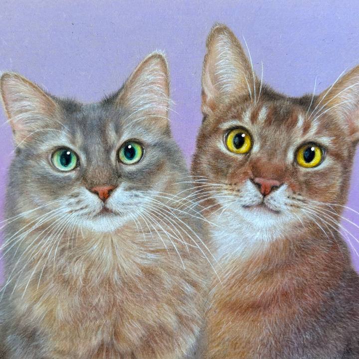 016ac5ad c5ae 45ac b3ae 0de61e97f989 1771660940243