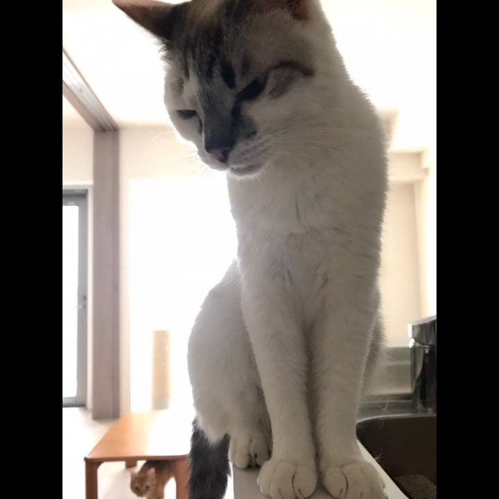 016aeeb4 f60f 4c94 8e6e da464c880208 1529965993573