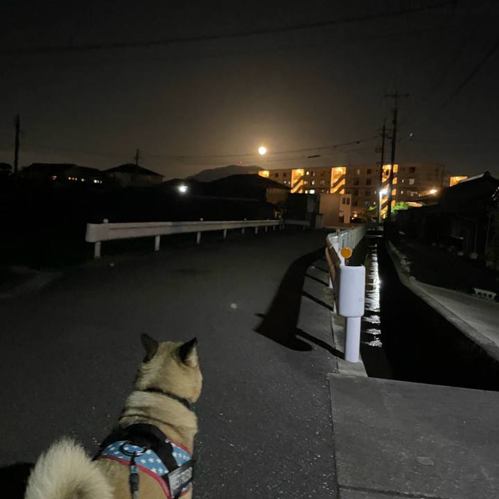 016af863 87fd 4632 91f1 34f7497d42c1 1713962317981