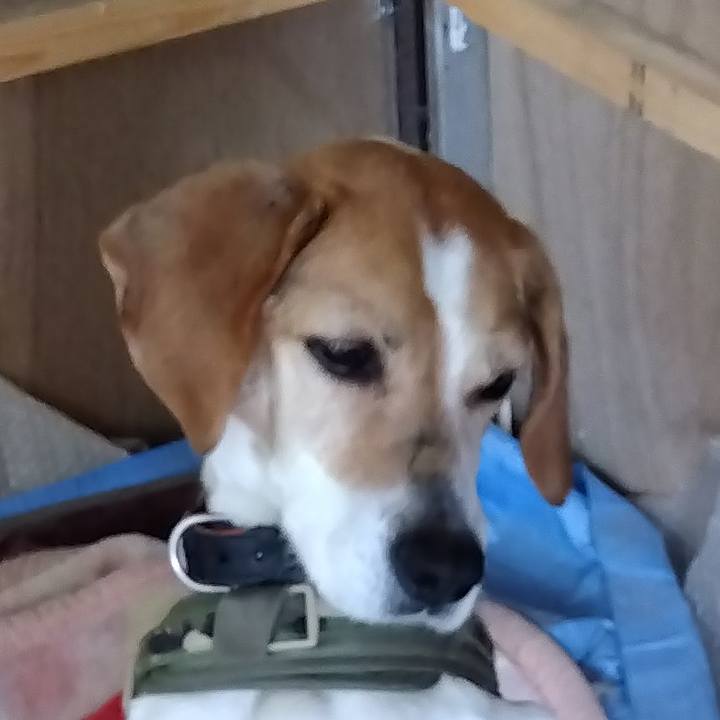 016afb4a aa72 4386 9d6a fac1a1d9a217 1682659626196