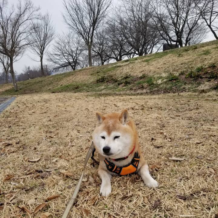 016b1568 2a75 4006 ba00 97736a8b1e51 1712109987576