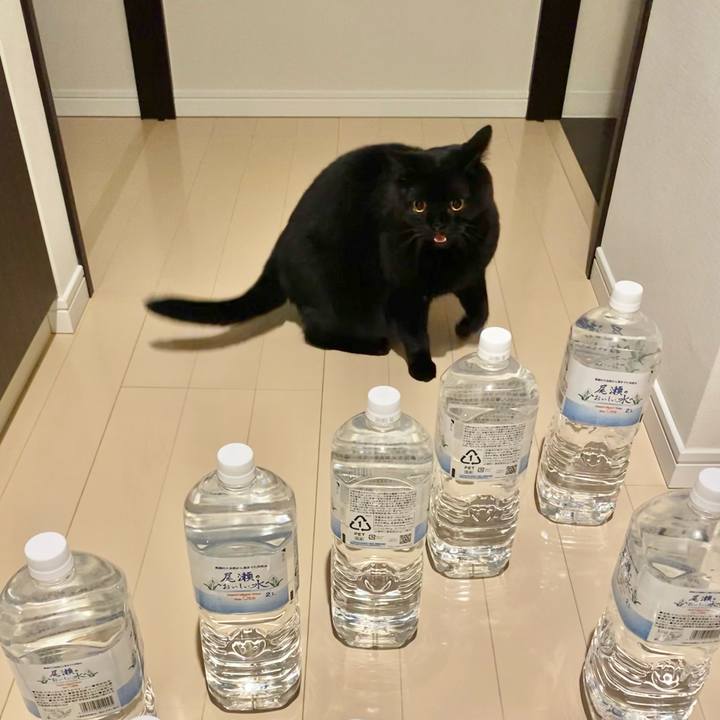 016b307d 3a33 45e4 90d0 d9b097219dd4 1634725121849