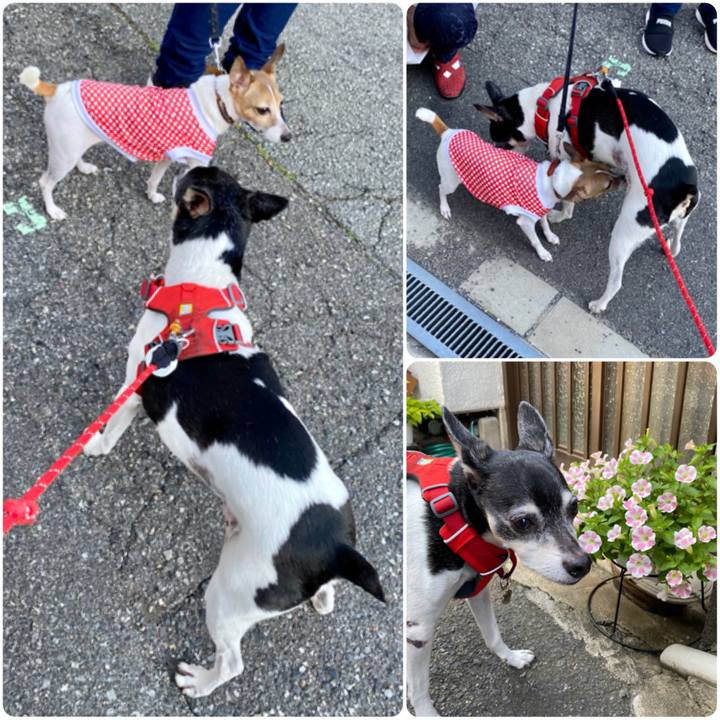 016b393a 58b4 4b69 a3a8 722e1e740119 1622362063604