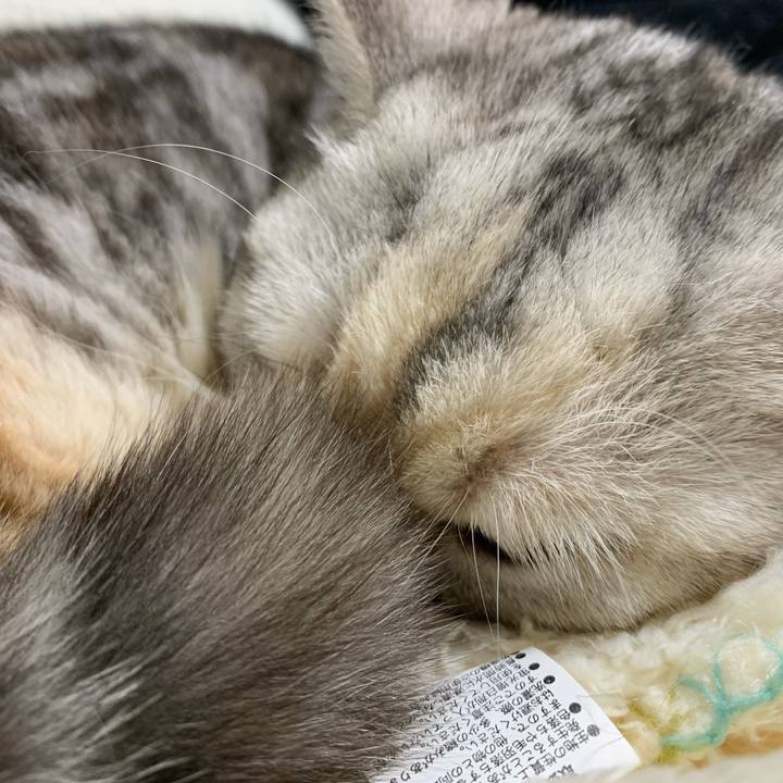 016b4270 aa0e 41ee aa57 14afe7f24fdc 1707575000268