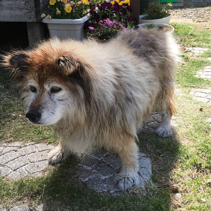 016b7504 5724 4790 9ff0 4df1d9f9226f 1618700978274