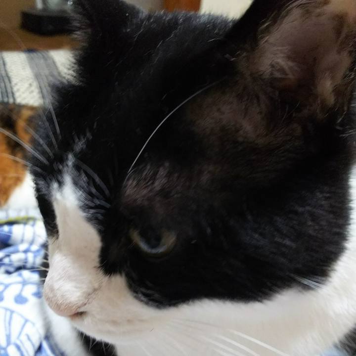 016b76f7 9ed5 450b 84ab cc454d434d5d 1529103390134