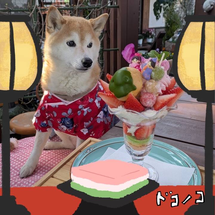 016b8dfc 9e11 468d 92ce ff6027682c89 1741175042142