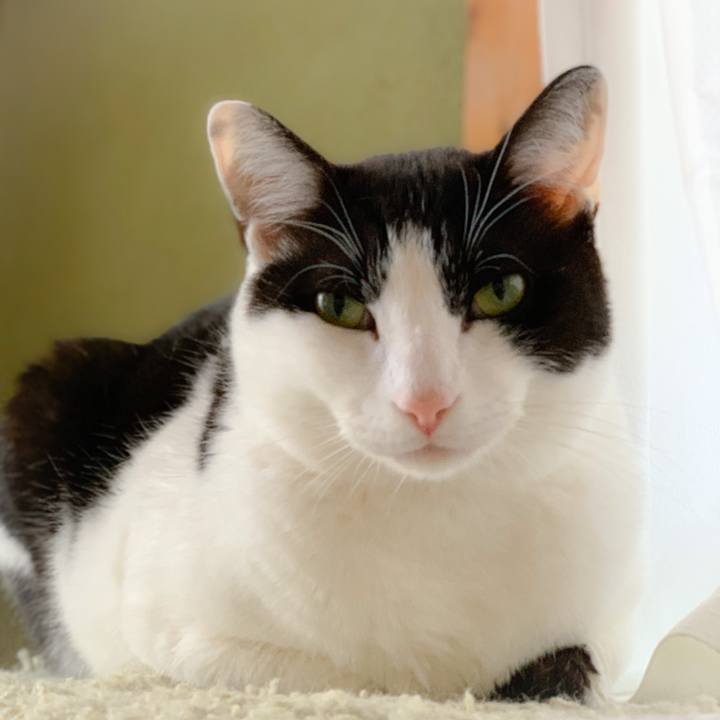 016b9740 be4c 40e7 b158 91d6137b74a7 1556588205103