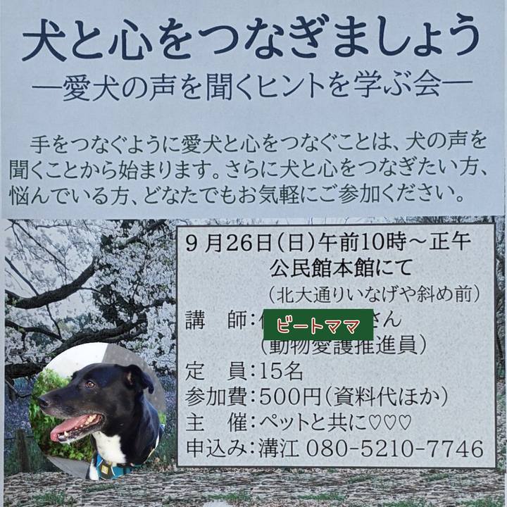 016bd9ed d3ce 4db5 a4b2 1950b21751ae 1632221827607