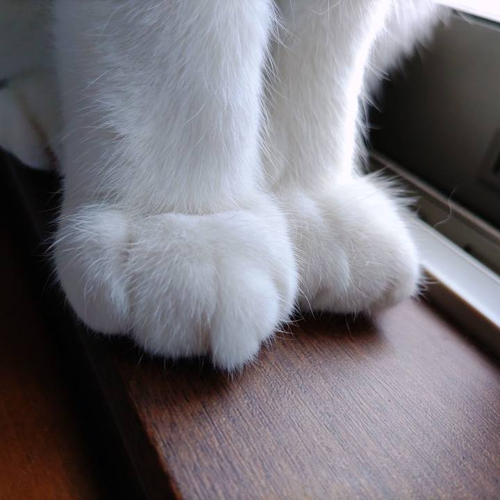 016bfd90 213b 40d5 9380 39d52f2a5e93 1673666084689