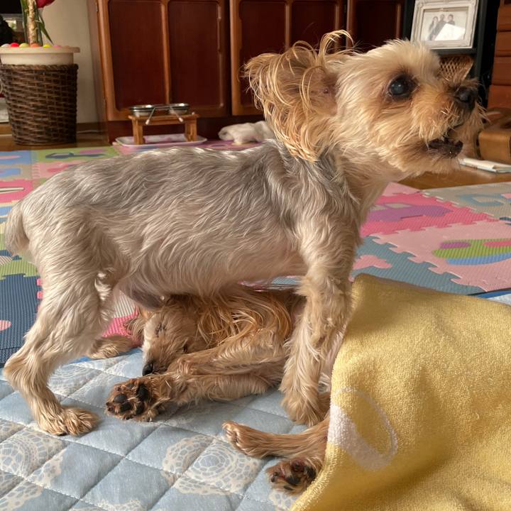 016c0143 7ed3 483e bc3d e9ba72856d70 1658569006258