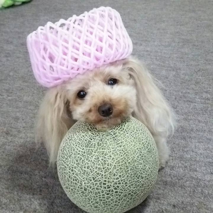 016c120b f842 473e 8d7e 646463ae7503 1528533428525