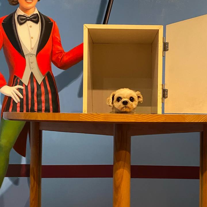 016c15c7 4896 4fba a4a2 511fd00f86ed 1574474810027