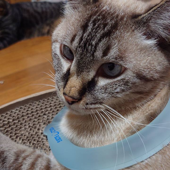 016c2364 6fec 4415 b30d 6749a676af4d 1725702868972