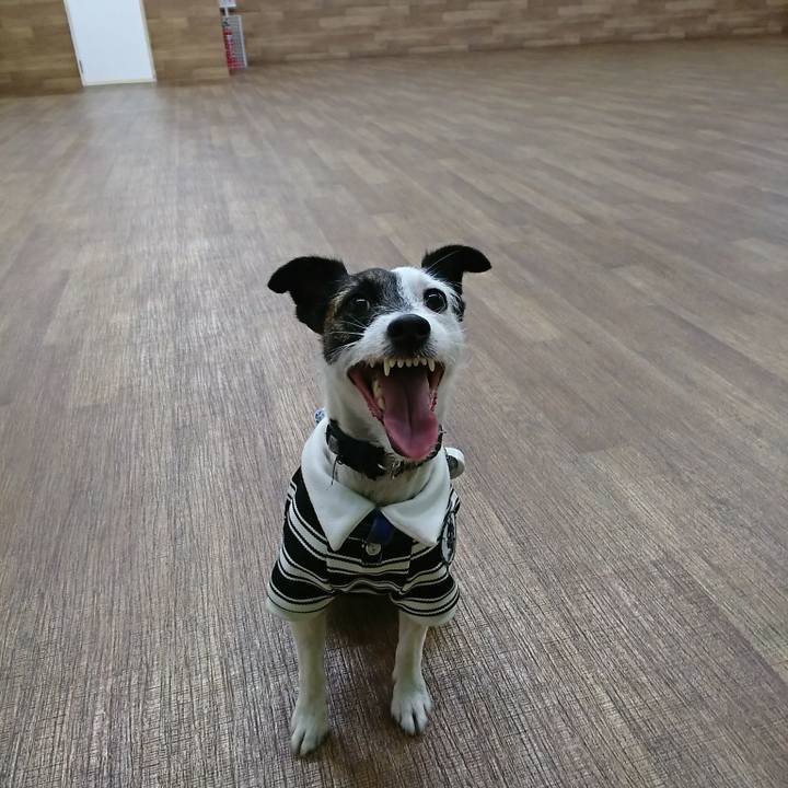 016c6377 a32f 45b3 8789 2fb9cd040e5d 1540006289185