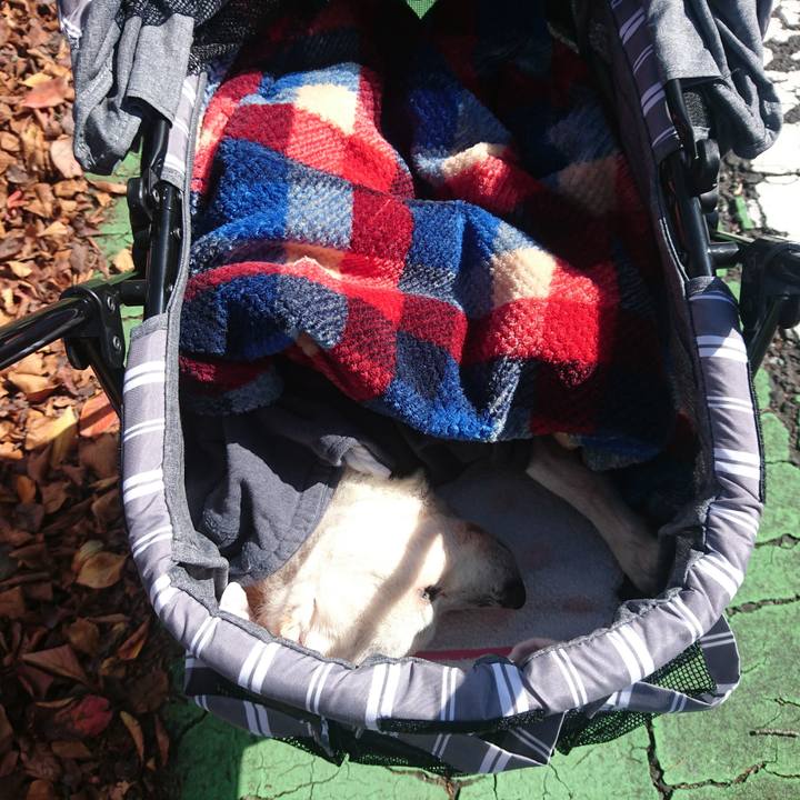 016c9031 c057 40ed ba03 b123df297619 1540090166778