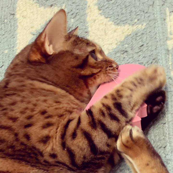 016c9518 0250 4787 929d 8917f228f6d9 1608509439147