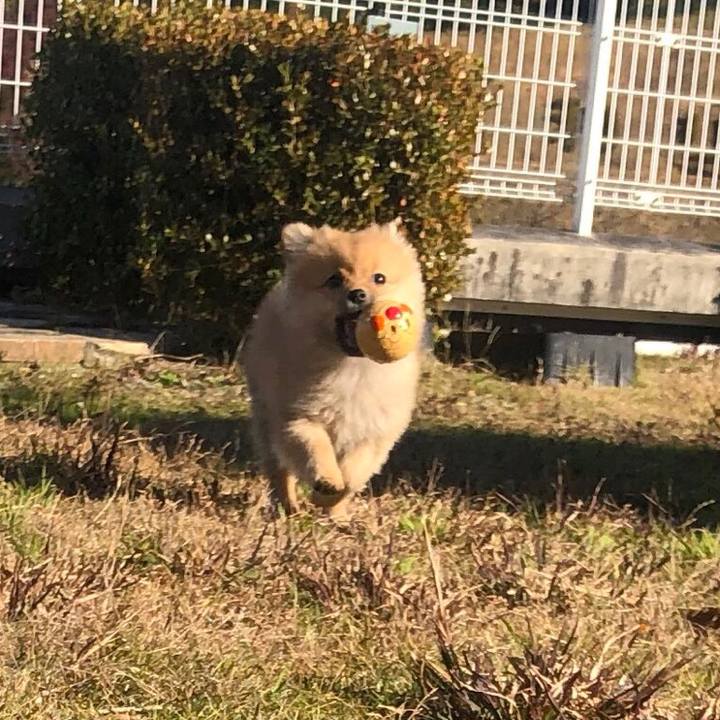 016c9954 7675 4fab 9f2f 513004093783 1575083208124