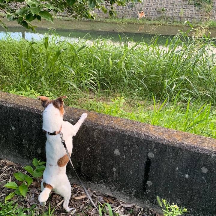 016cf07a b924 47de a105 a5e4058e3ebf 1626005626964