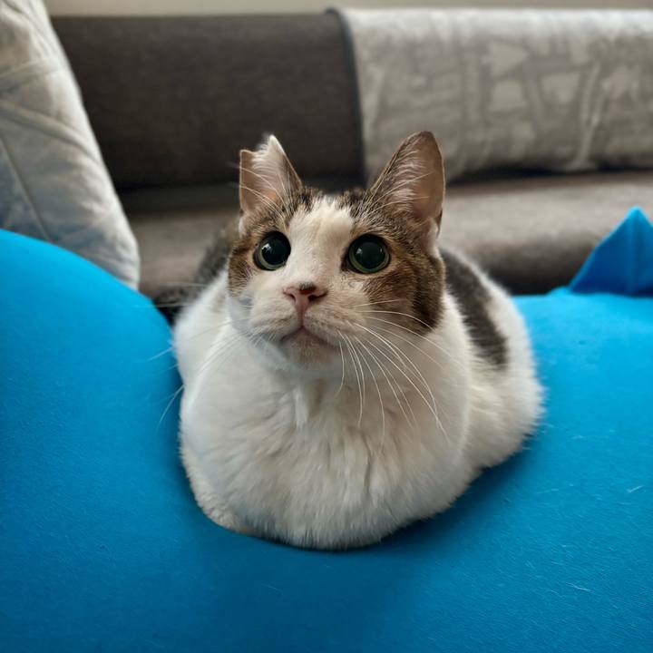 016d3e9a 60a6 463b a541 51cb880dfa06 1763016428269