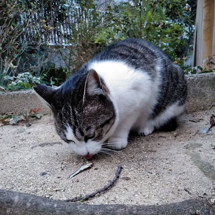 016d463c 9ca4 46d9 8e45 f914cdda9e45 1579593495515