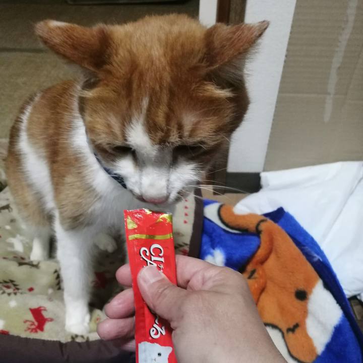 016d9f4c f81c 4eec 9547 1aaf366e71ed 1621947702043