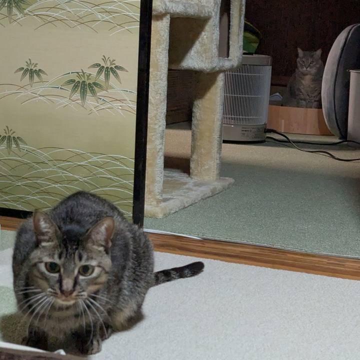 016dacf9 599d 4f64 ac32 bd931385cc18 1738843877914