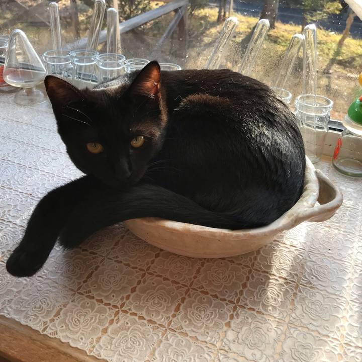 016dbb3d df5c 4d58 86fe e00c278c25d1 1574466208040