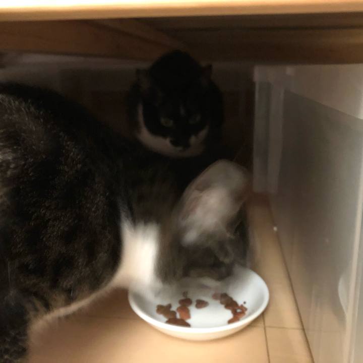 016dbead 4a7f 4f0c a7ae 32a64e8c2ae9 1551177971334