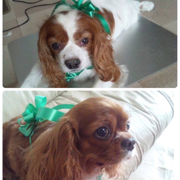 016dd7e1 8fe9 414b afa0 e2d883bc6c09 1518698072710