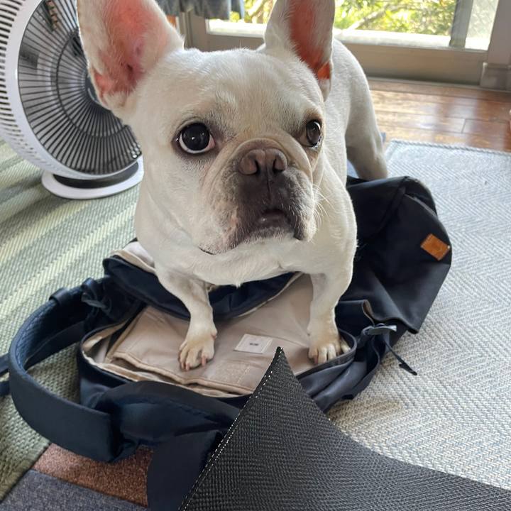 016dfb33 1486 4392 883d 604e01aa1037 1723417131008